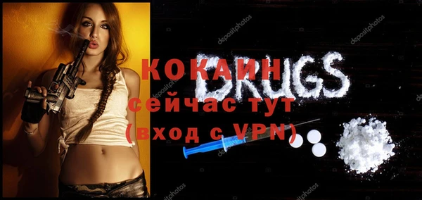 молекула духа Белоозёрский