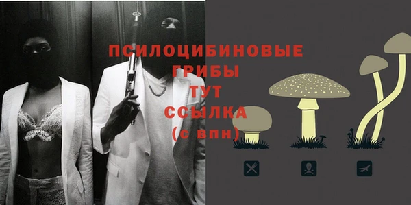 амф Белокуриха