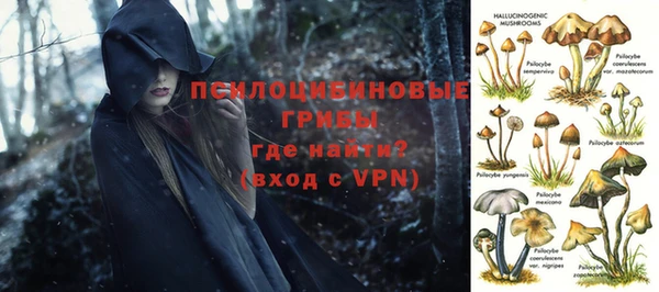 амф Белокуриха