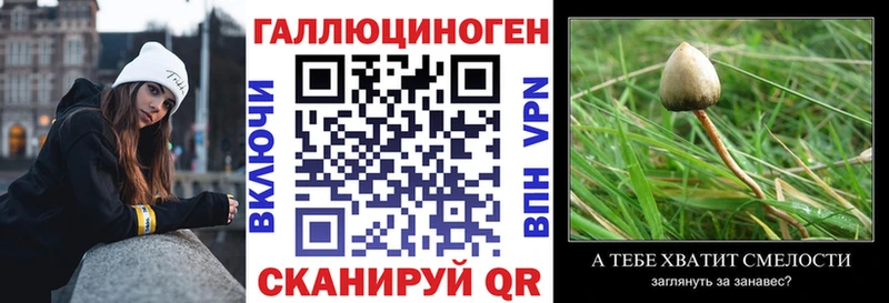 darknet клад  Кузнецк  Псилоцибиновые грибы GOLDEN TEACHER 