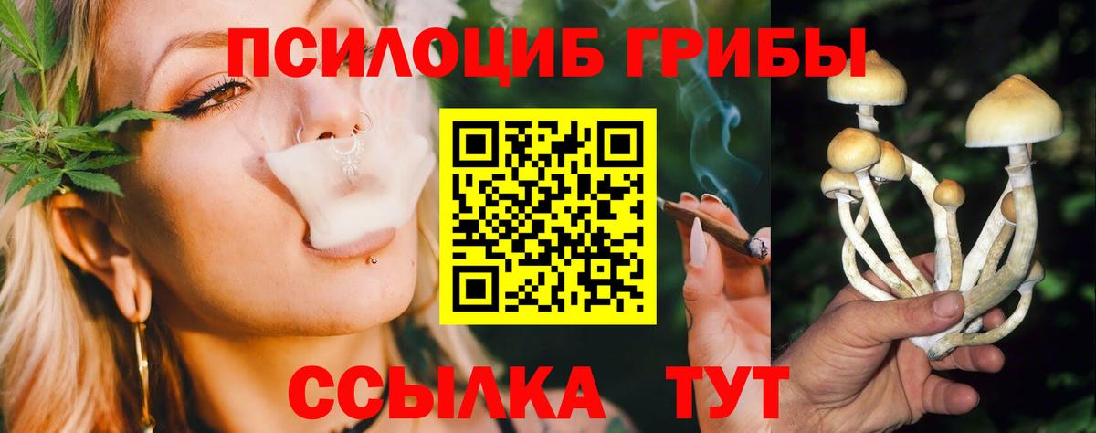 Галлюциногенные грибы прущие грибы  Вход с VPN  Кузнецк 